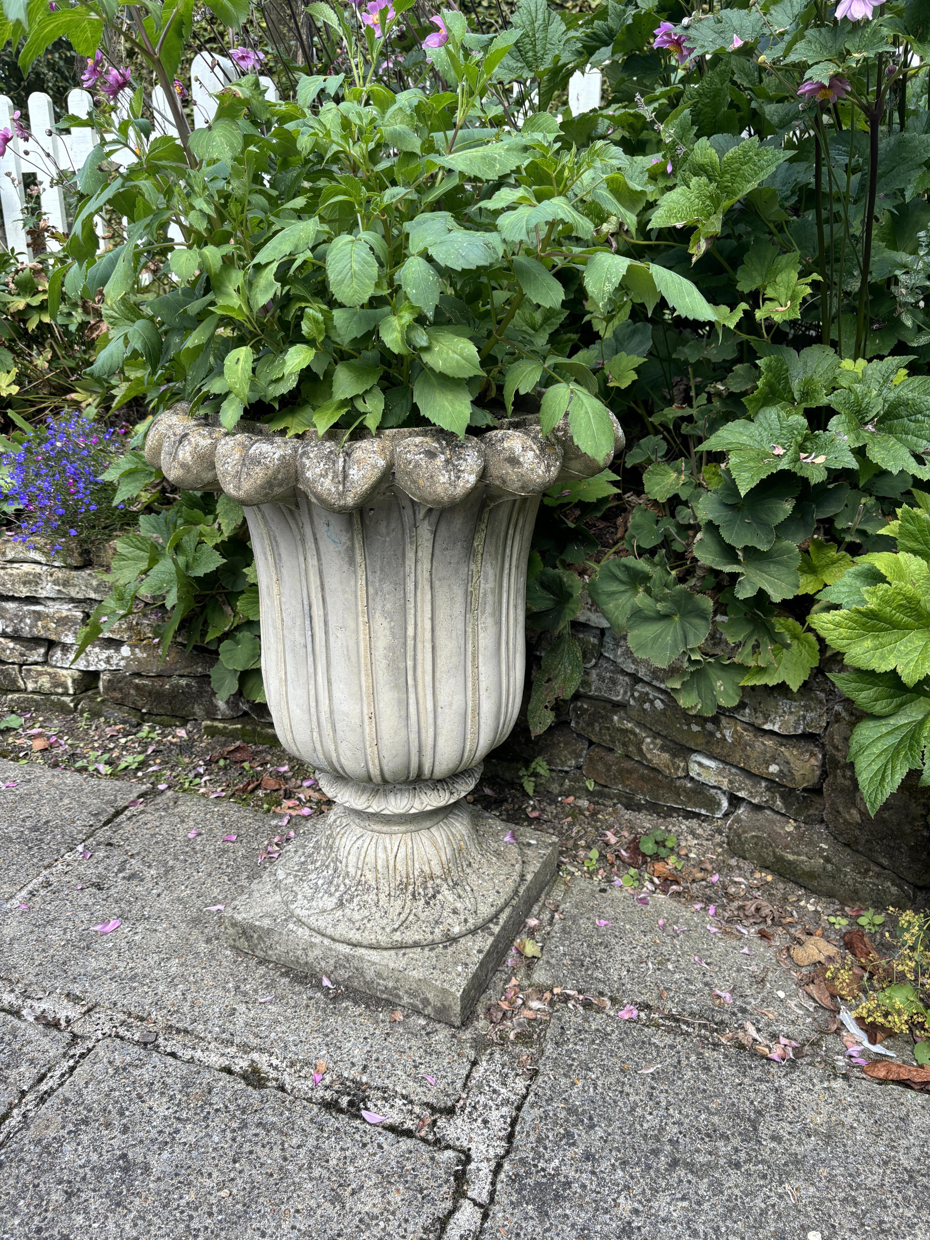 A pair of reconstituted stone tulip urns, height 66cm, depth 50cm, planting removed. Condition - weathered, otherwise good